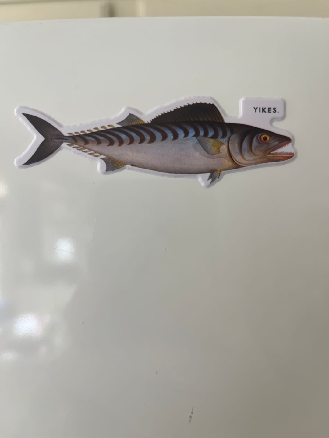 Customer photo review of Judgy Fish Sticker Book