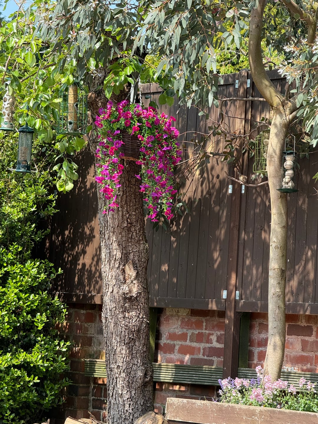 Customer photo review of Outdoor Hanging Petunia Basket - Purple