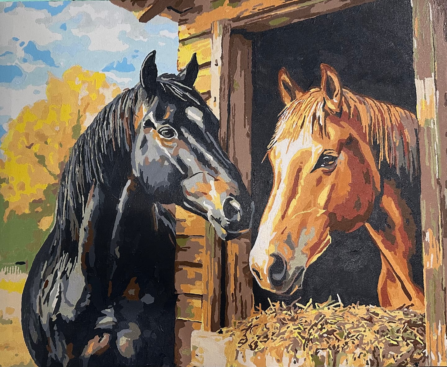 Customer photo review of Stable Companion