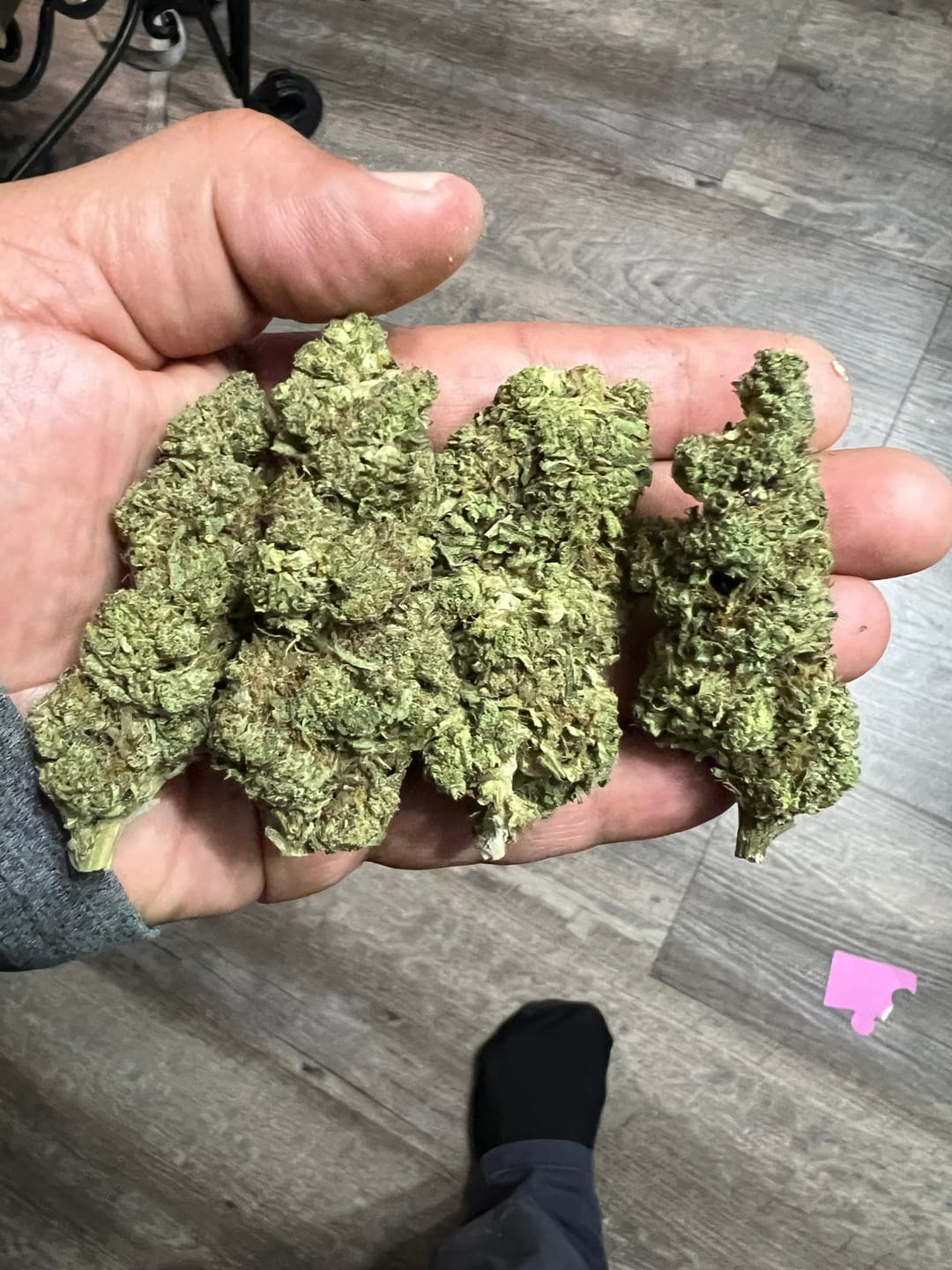 Customer photo review of Blueberry Muffins - Bulk - Indica