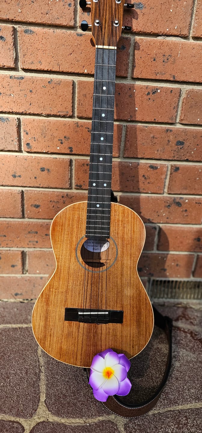 Customer photo review of BB Worth Brown Baritone Ukulele Strings DGBE Tuning Fluorocarbon 2 Restrings per Packet