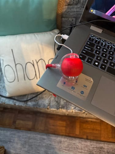 Customer photo review of Smart Interactive Rolling Ball for Small Dogs