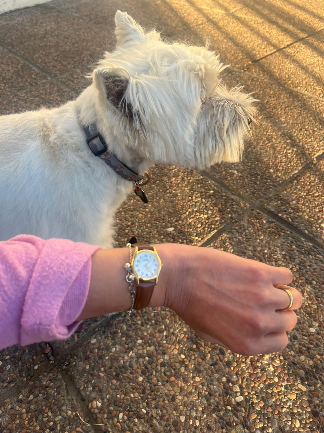 Customer photo review of Reloj Casio Análogo LTP-1094Q-7B7 Correa de Cuero Perritos