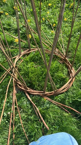 Customer photo review of The Willow Plant Support - Online Course and Kit