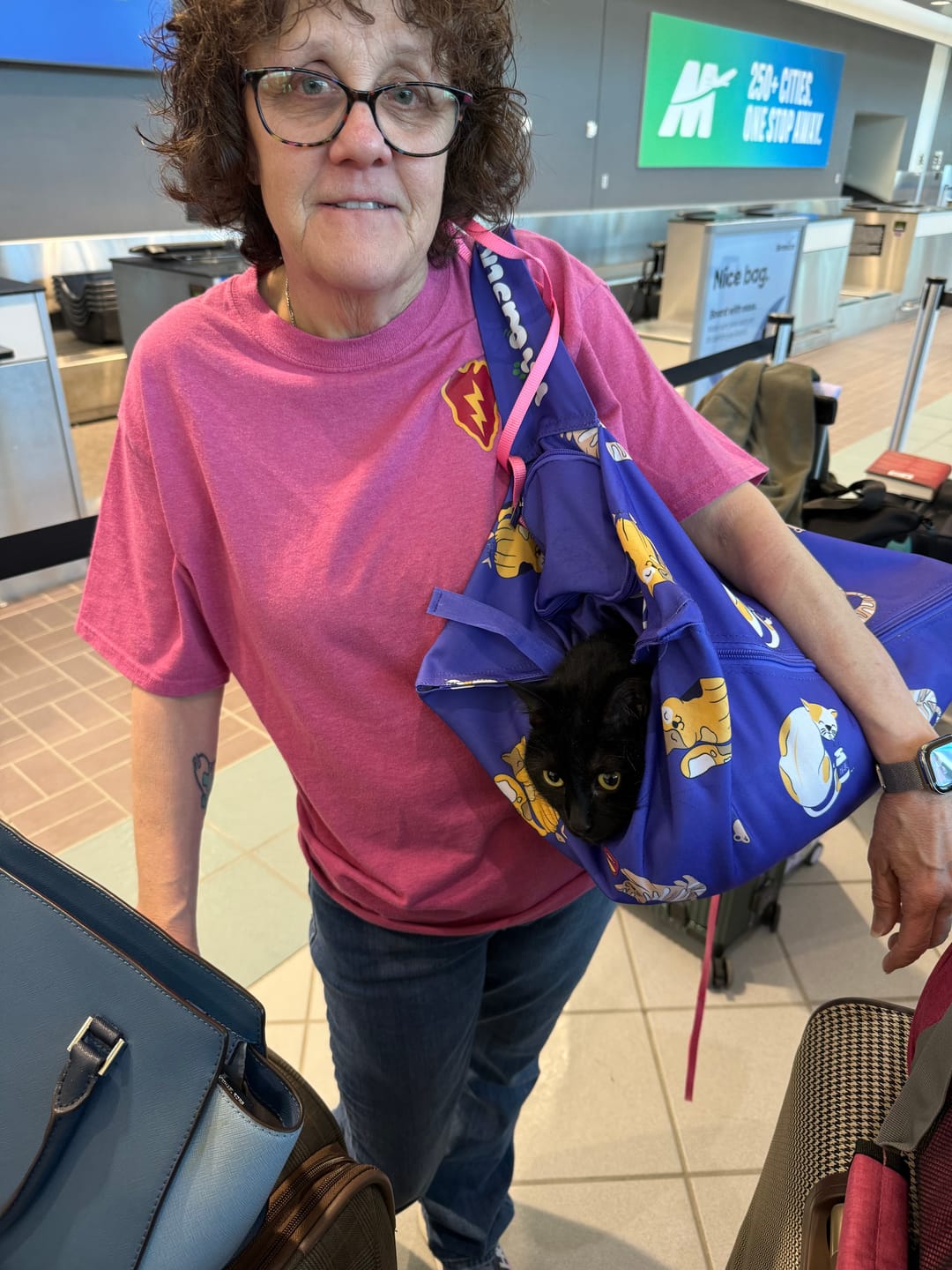 Customer photo review of Kitastic Cat Carrier