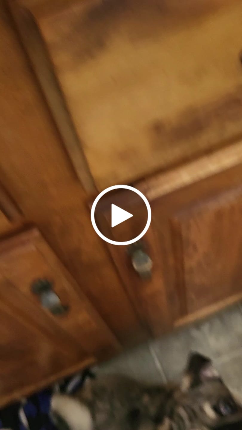 Customer video review of Cod Skin Cubes