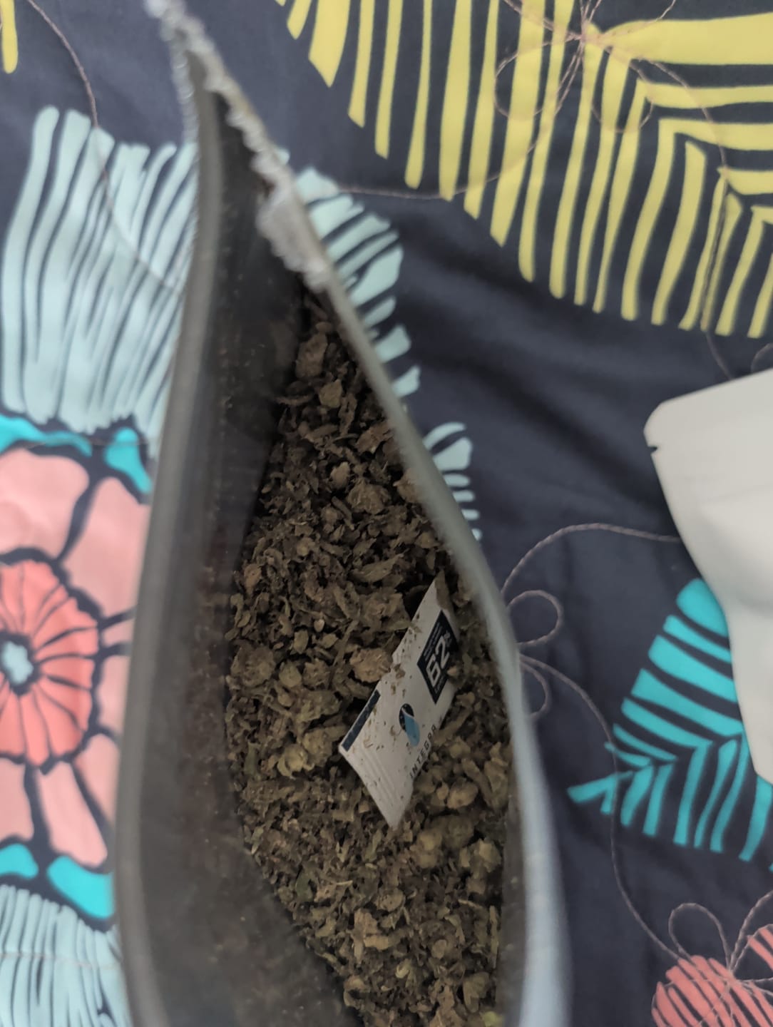 Customer photo review of Gas Mints Shake