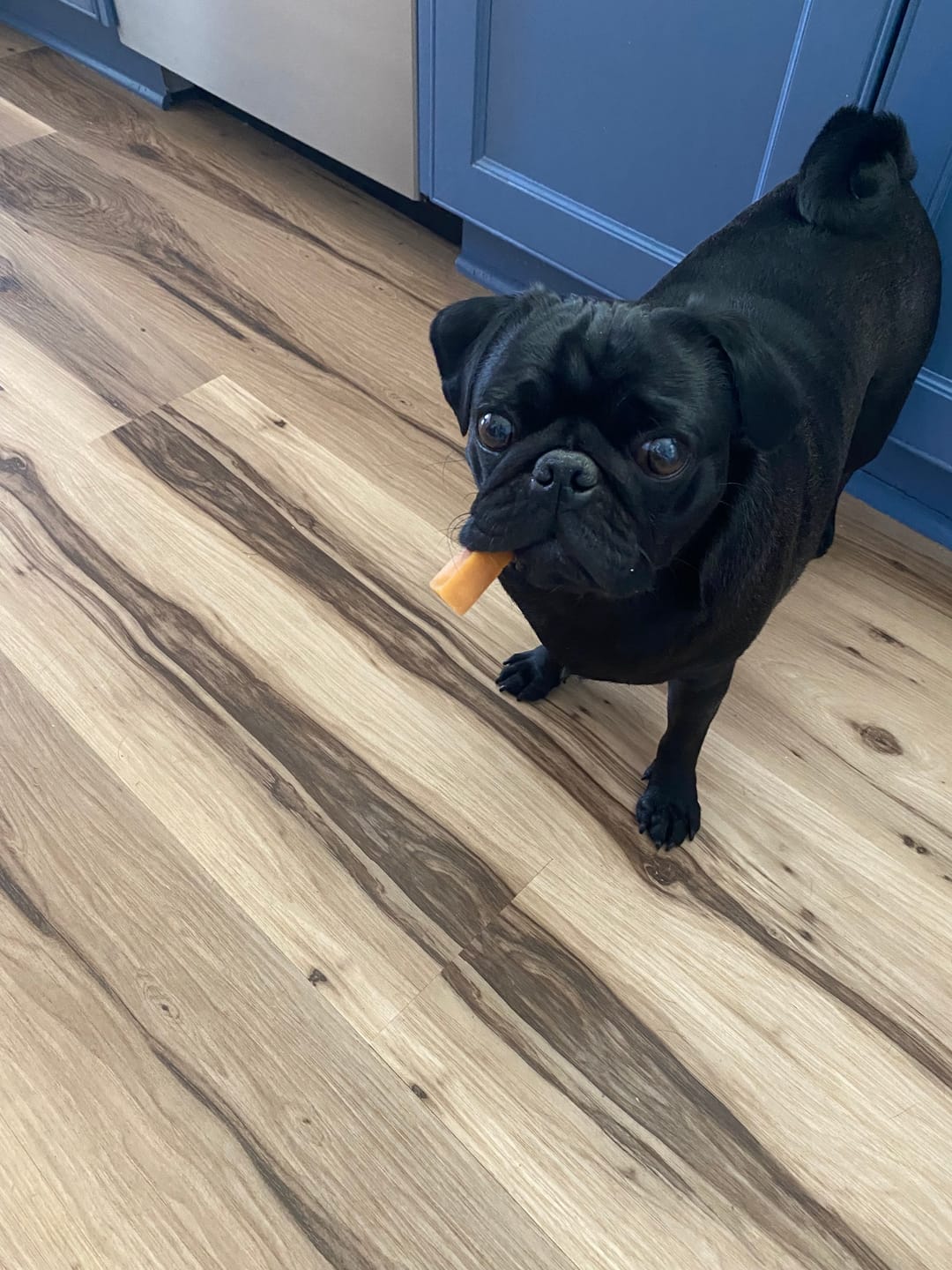 Customer photo review of Strawberry Yak Chews