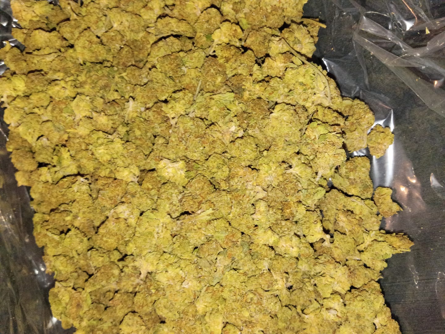 Customer photo review of Apple Banana Minis - Bulk Minis - Hybrid