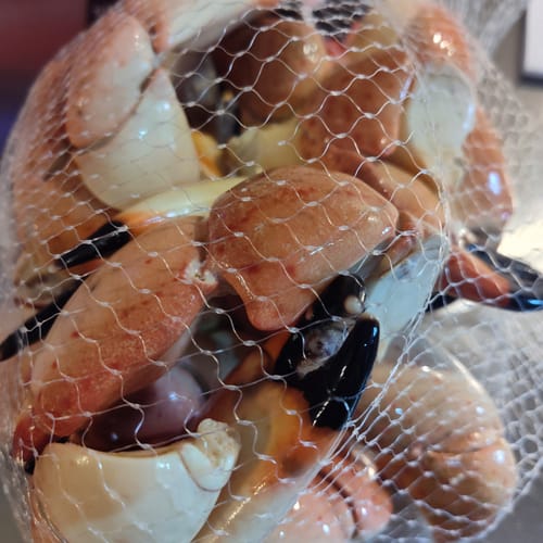 Customer photo review of Medium Stone Crab Claws