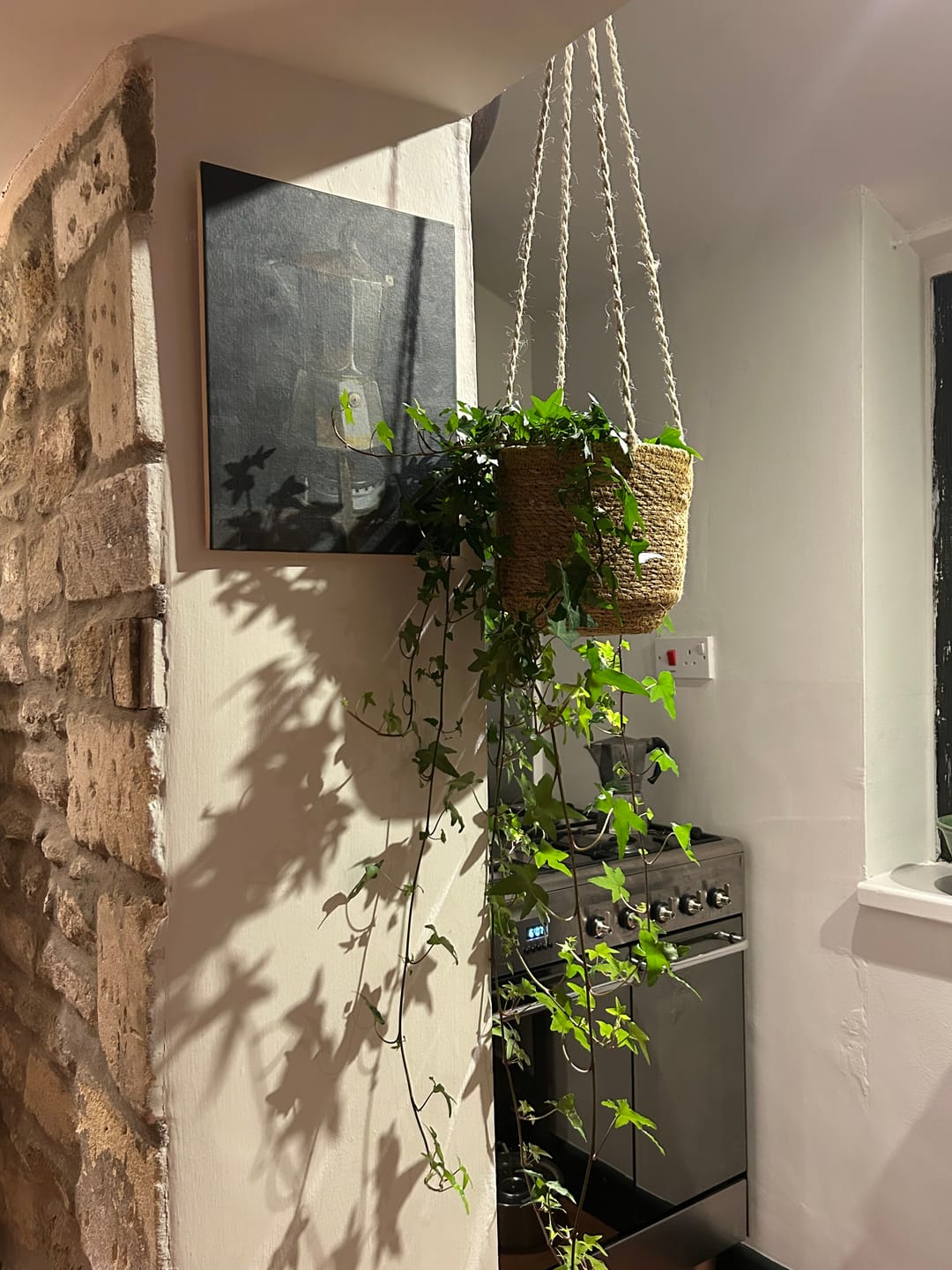 Customer photo review of Hanging Jute Plant Pots