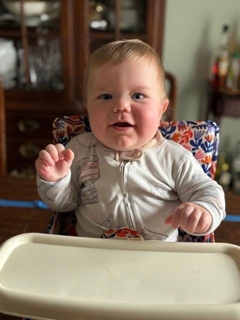Customer photo review of Willow portable booster chair