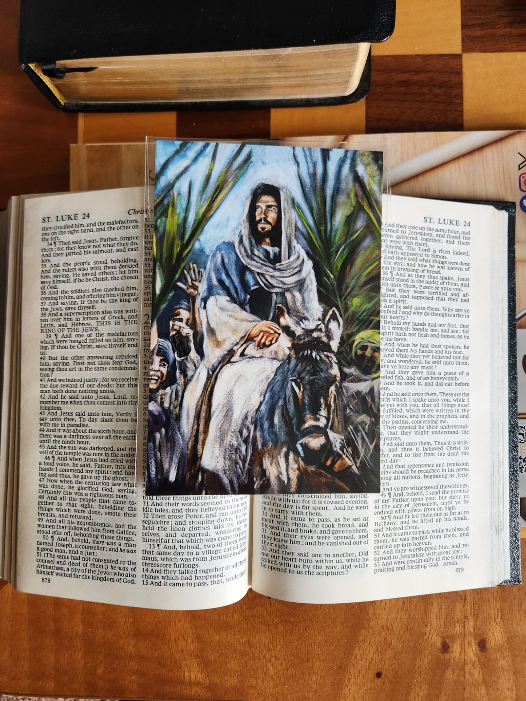Customer photo review of The Promised King