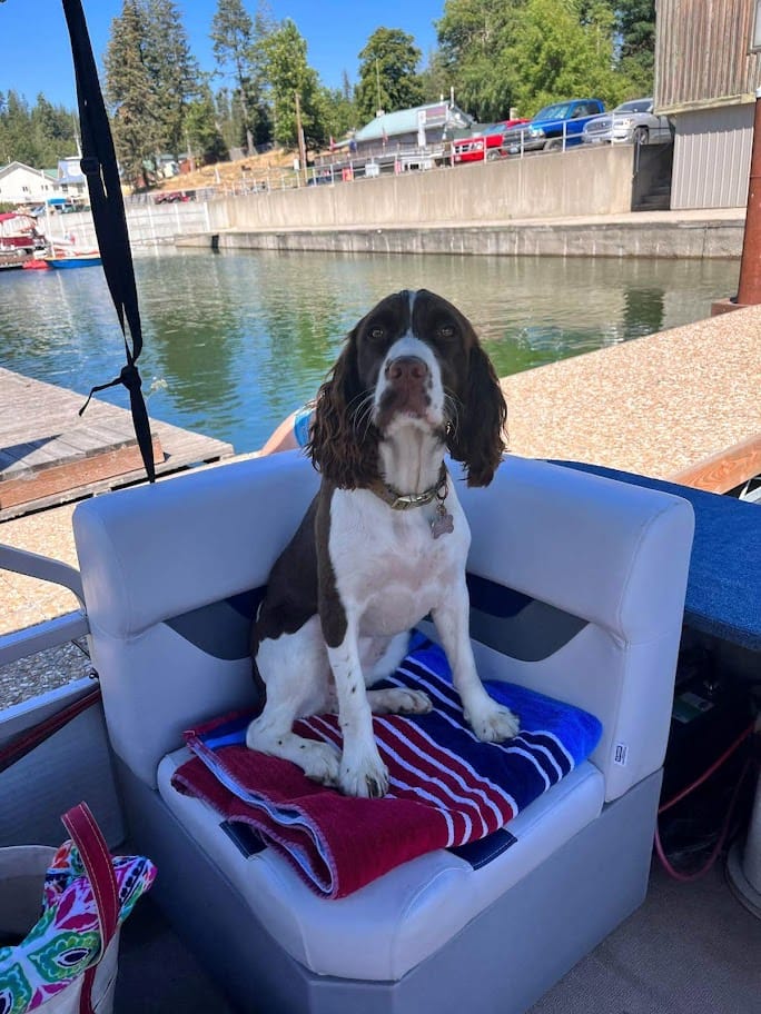 Customer photo review of Iron Paws Daily Human-Grade Superfood For Dogs