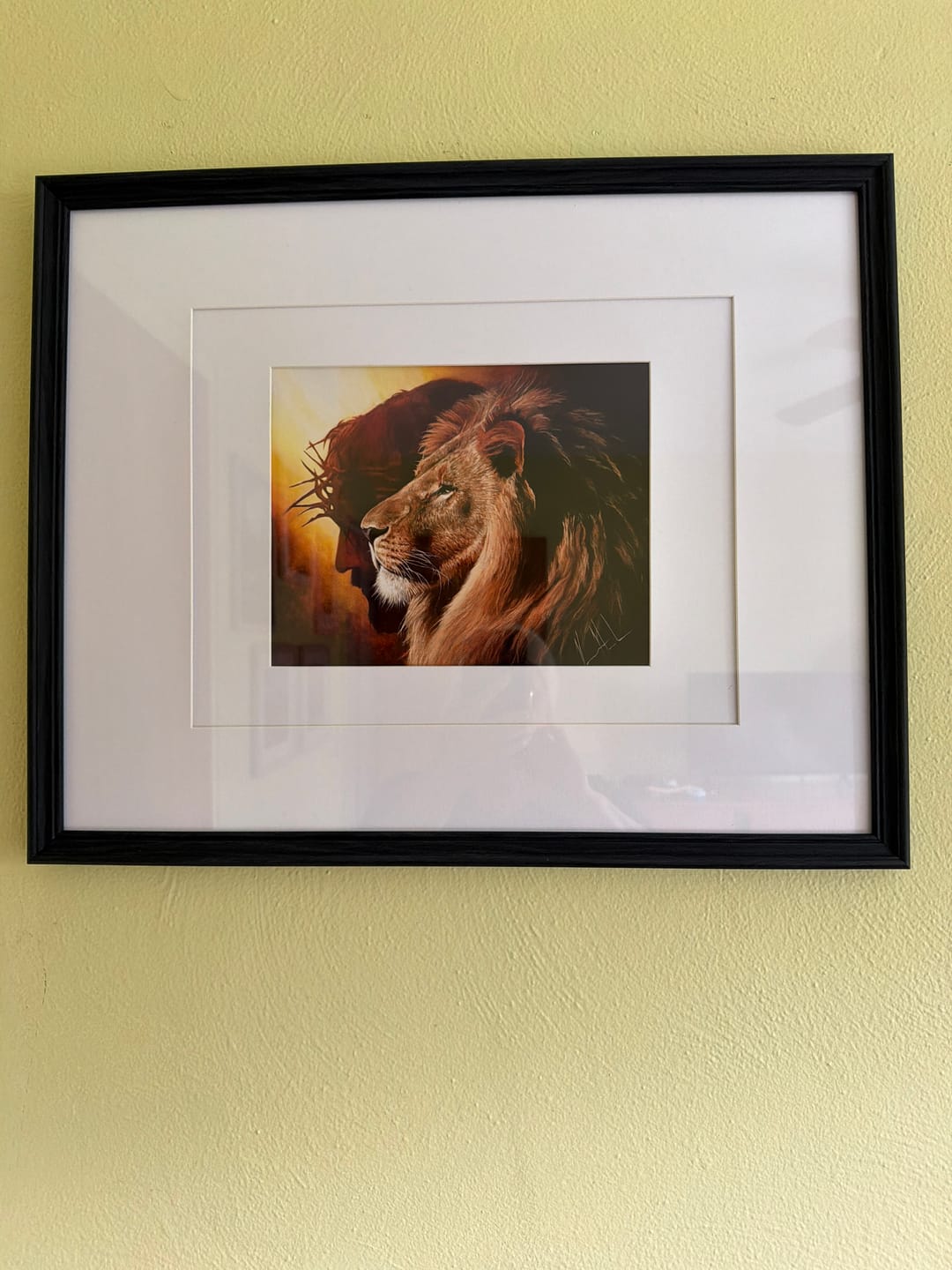 Customer photo review of The Lion of Judah™