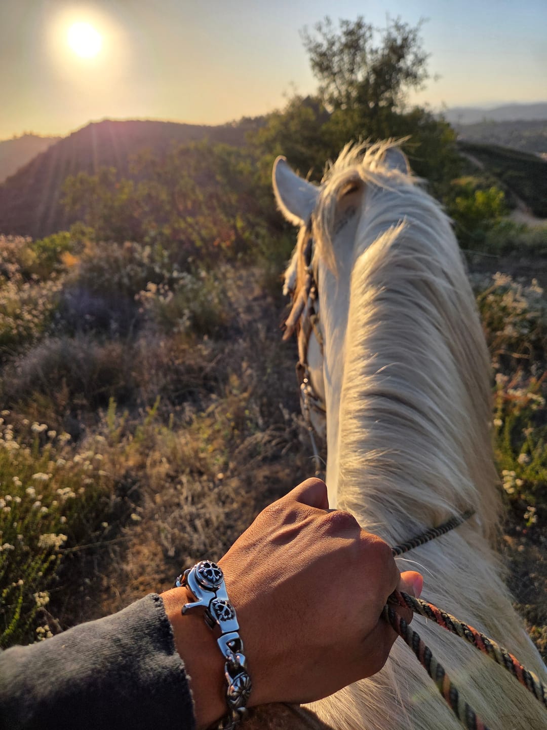 Customer photo review of The Twisted Metal Bracelet  - RG315