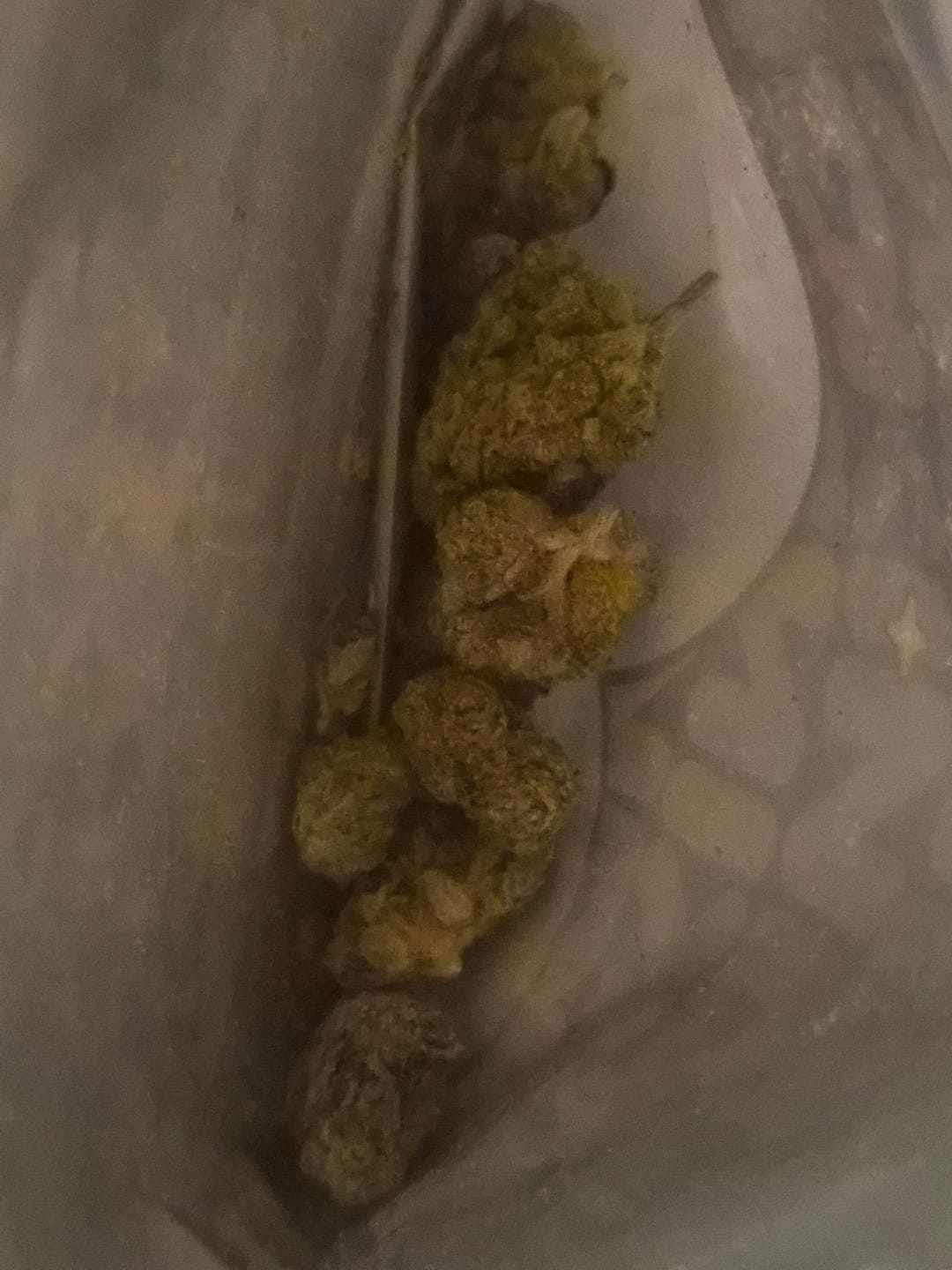 Customer photo review of OG Kush - 14 Grams - Indica
