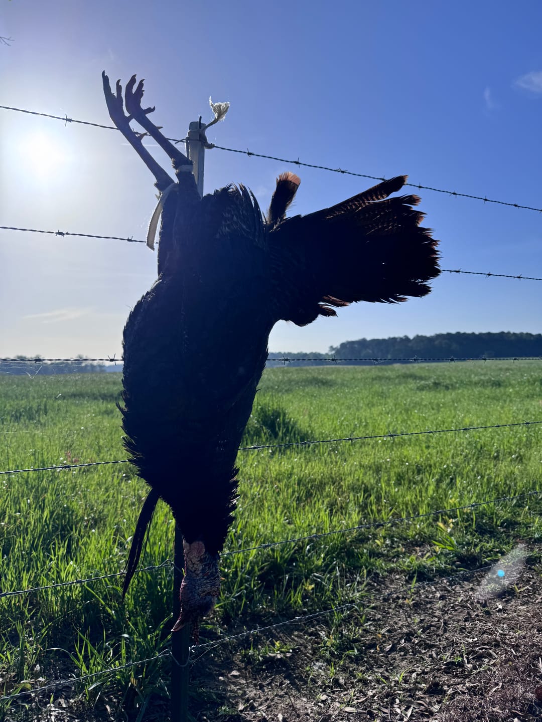 Customer photo review of BUY 4 & SAVE! TACTACAM REVEAL X GEN 3.0  with Solar Panels, Lockable Straps, SD Cards and Cleaning Cloth