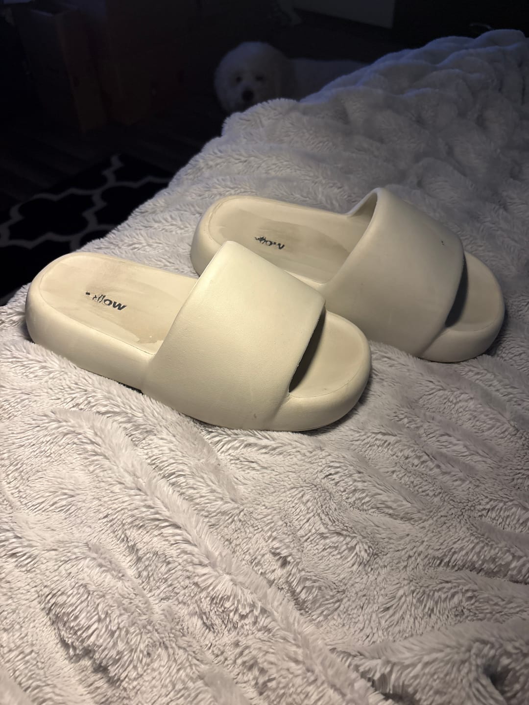 Customer photo review of MellowSoft Slides
