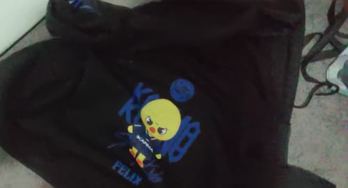 Customer photo review of KPOP KARMA 2025 Printed Zip Up Hoodie