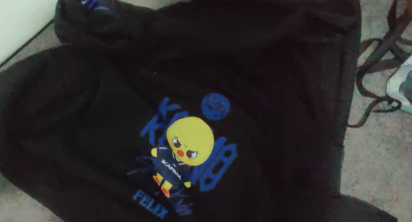 Customer photo review of KPOP KARMA 2025 Printed Zip Up Hoodie