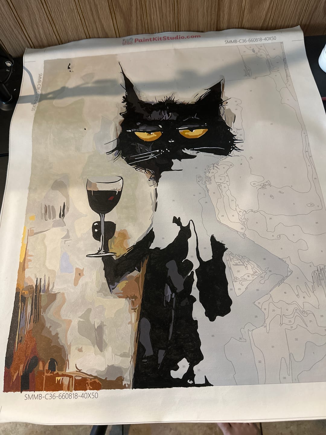 Customer photo review of Grumpy Cat Wine Paint By Numbers Kit