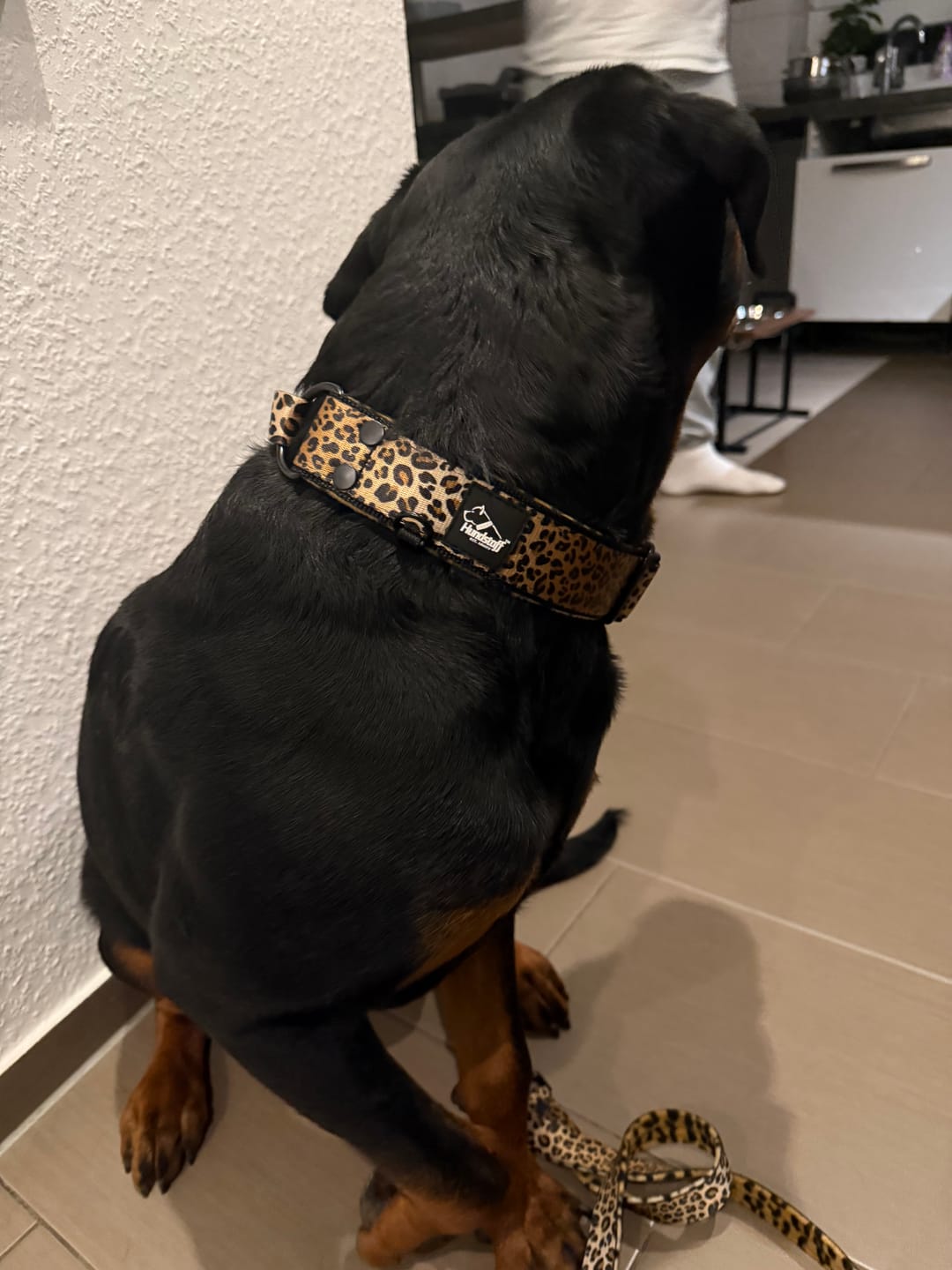 Customer photo review of Martingale Leopard - Brett fodrat hundhalsband halvstryp
