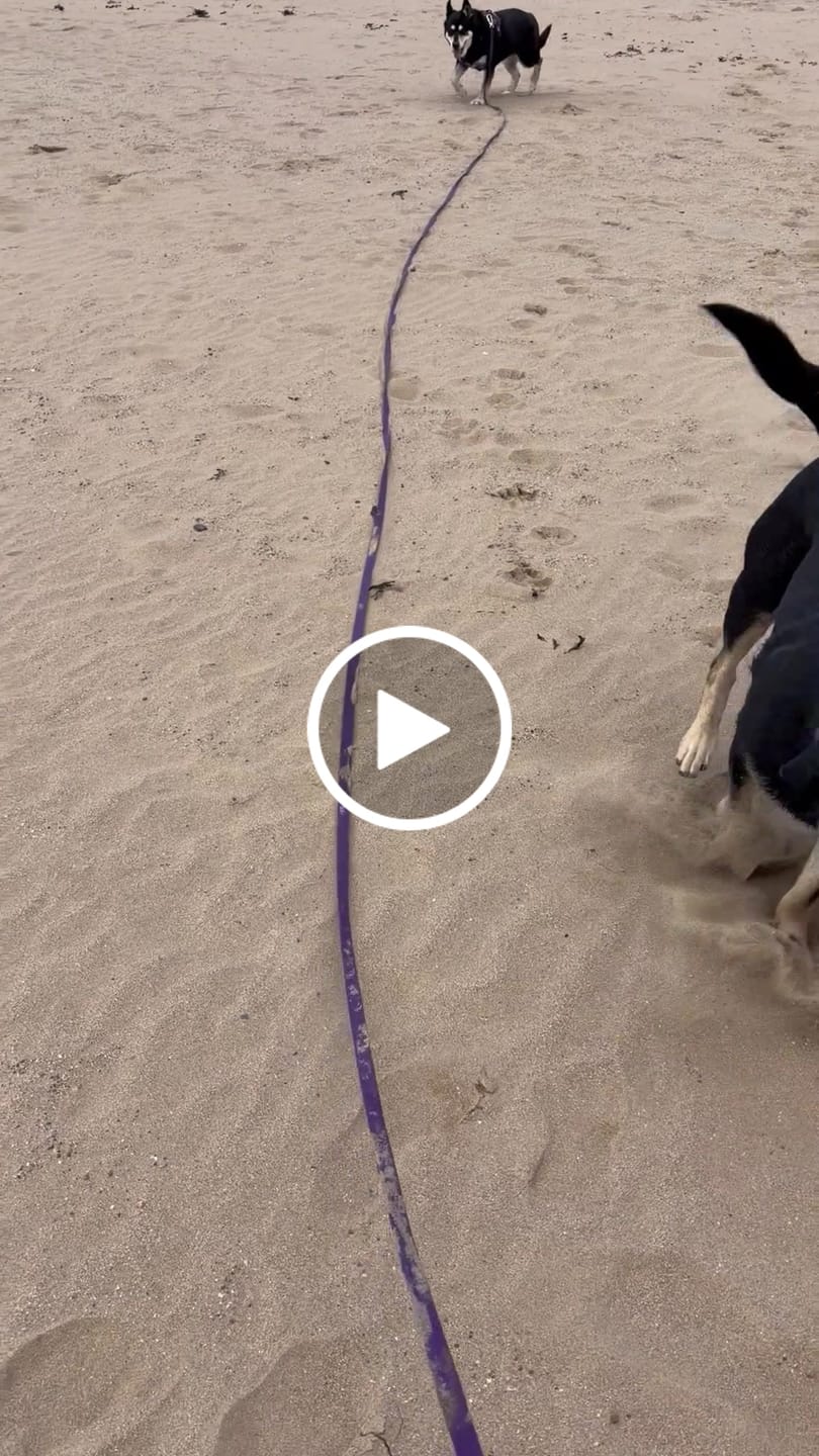 Customer video review of Tidal Waterproof Longline