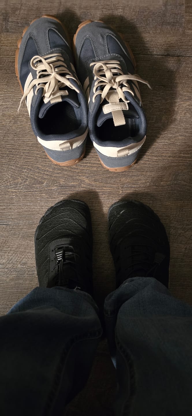 Customer photo review of TerraStride