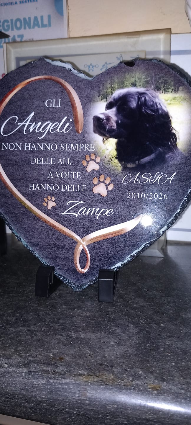 Customer photo review of Gli angeli hanno delle zampe - Cuore in ardesia personalizzato