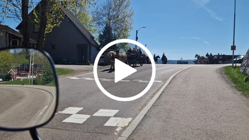 Customer video review of Støttestrømper