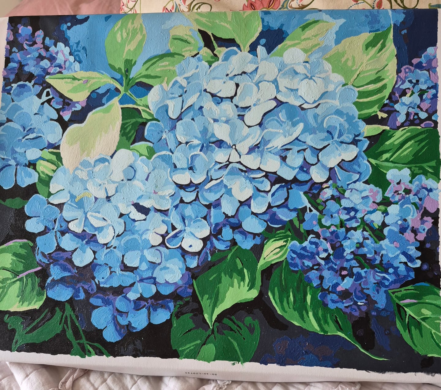 Customer photo review of Blue Hydrangea