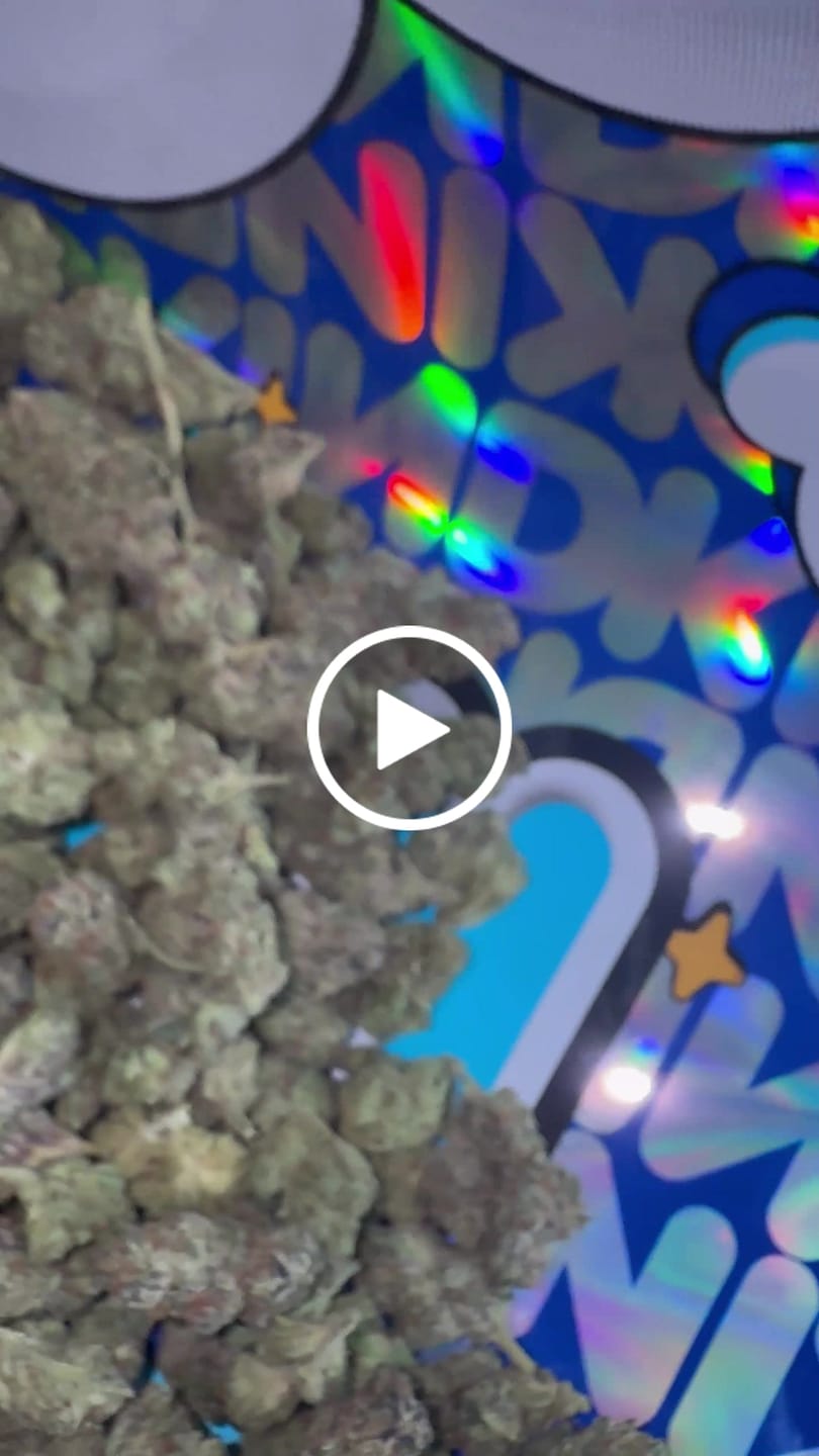 Customer video review of White Nerds Indoor - Bulk - Hybrid