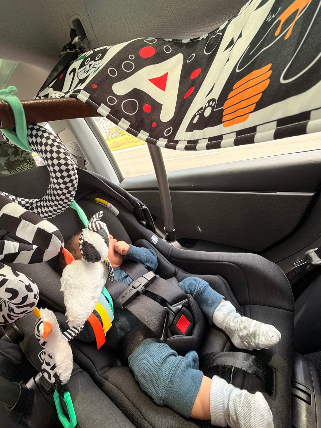 Customer photo review of Curious Baby™ Activity Cards