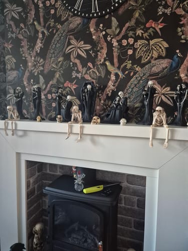 Customer photo review of Sisters | Eternal Skeleton | Figurine
