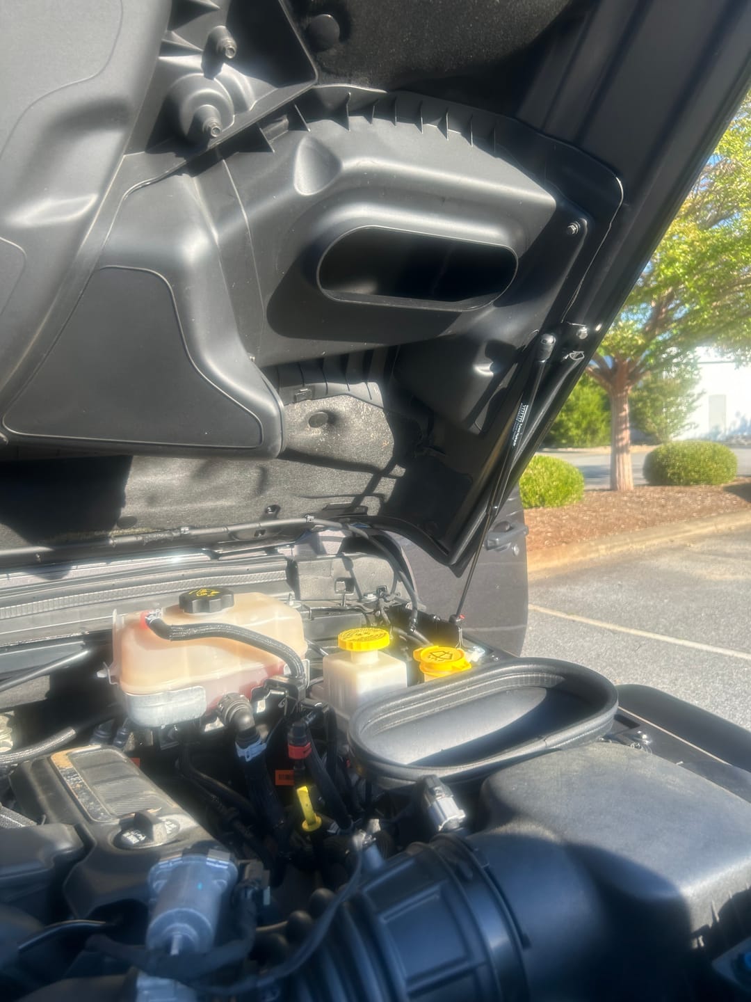 Customer photo review of Beefy Hydraulic Hood QuickLift for JL & JT