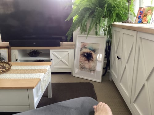 Customer photo review of Personalised Poster With Dog or Cat - Watercolour