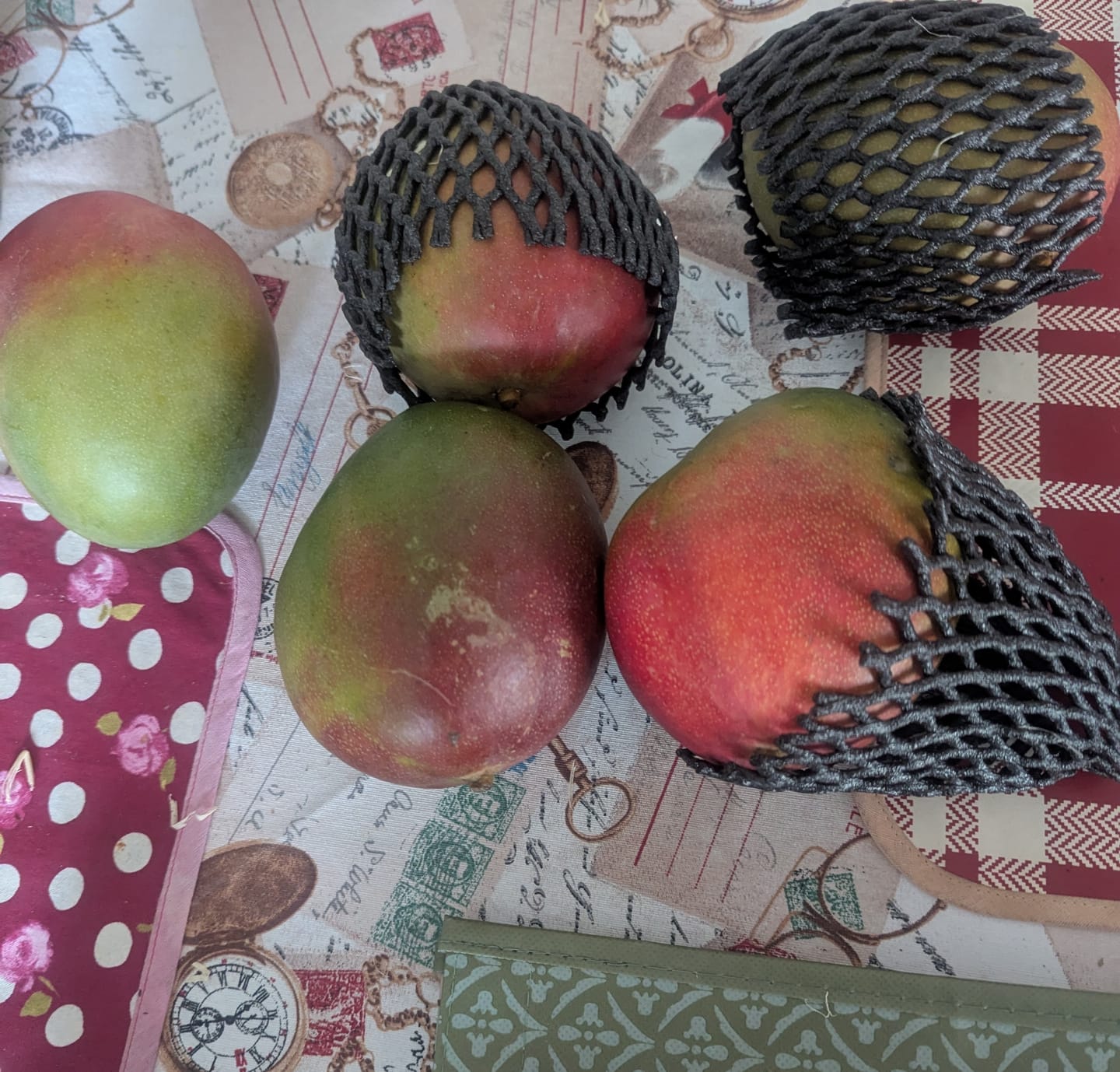 Customer photo review of Mango Kent Premium Bio von Karina baumgereift