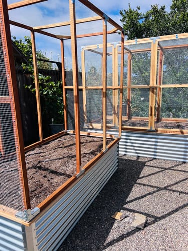 Customer photo review of Regenerative Rootz Potting Soil