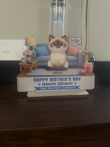 Customer's personalized wooden plaque showing a cat named Mocha and the text 'Happy Mother's Day Human Servant' on a TV stand.