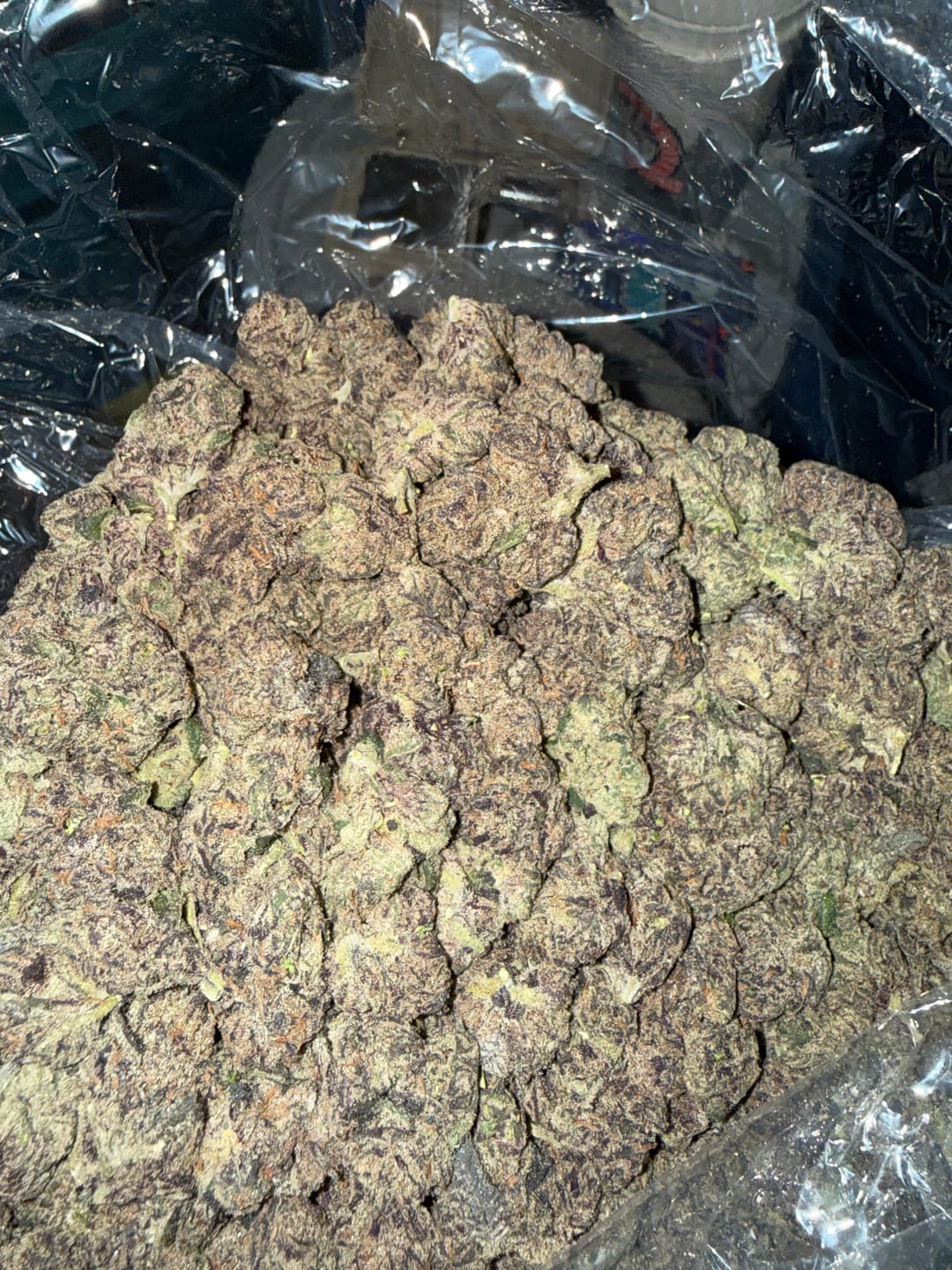 Customer photo review of Boutique Exotics  Lemon Dior - Bulk - Hybrid