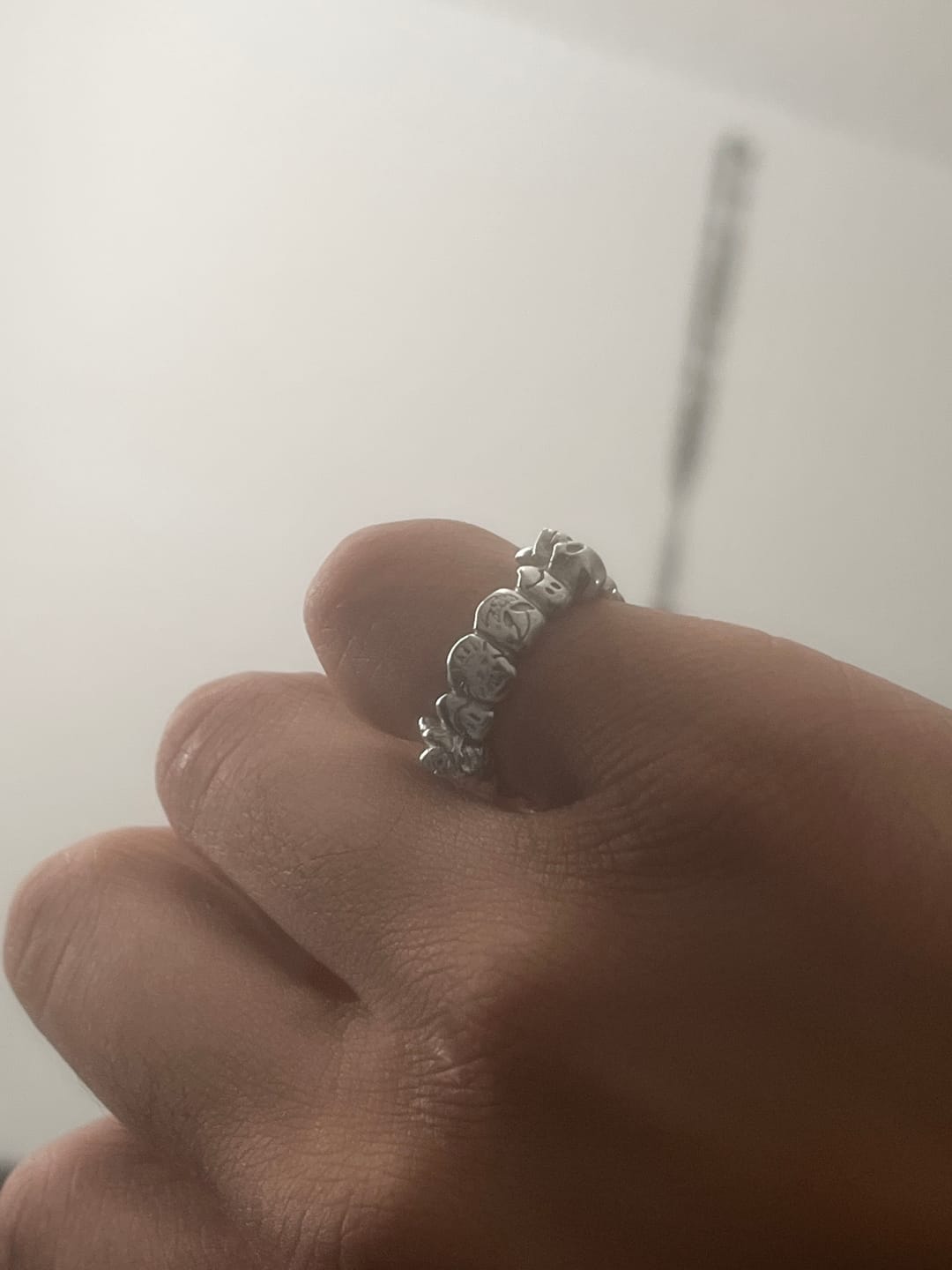 Customer photo review of FLOODED GRILL RING