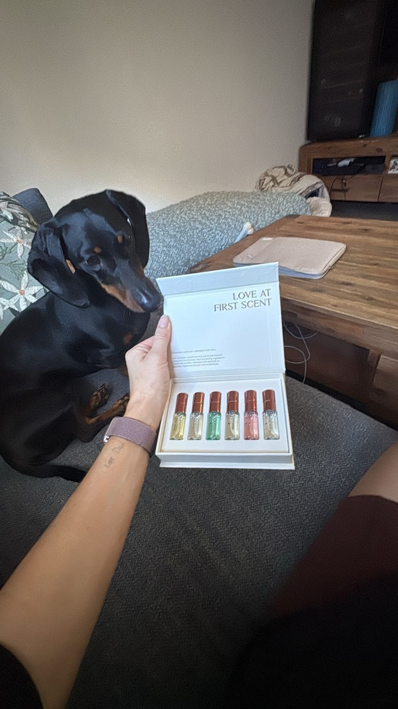 Customer photo review of 6 PCE DISCOVERY SET