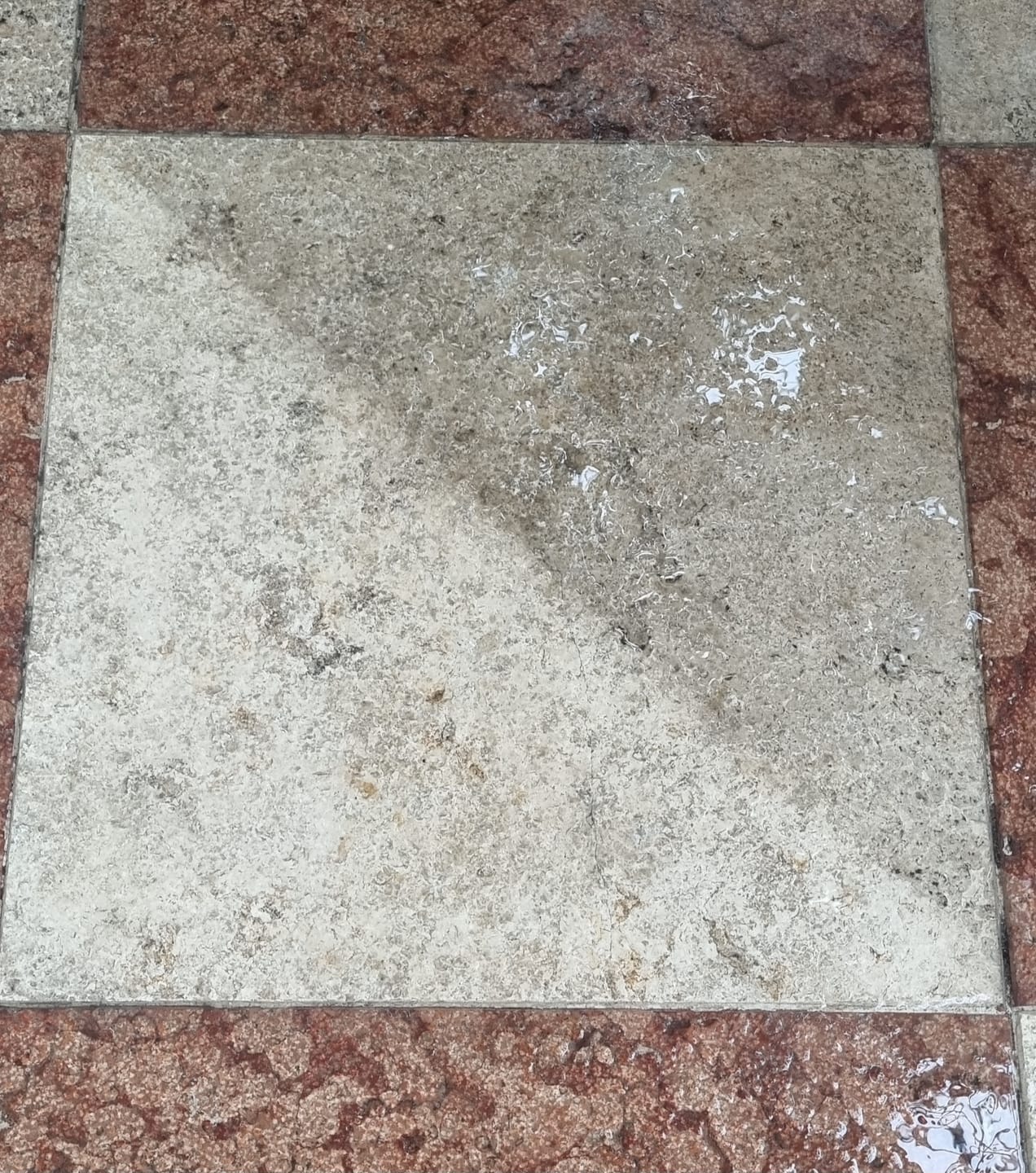 Customer photo review of Calk Clean - Disincrostante , Rimuove ruggine, calcare e pellicole di cemento.