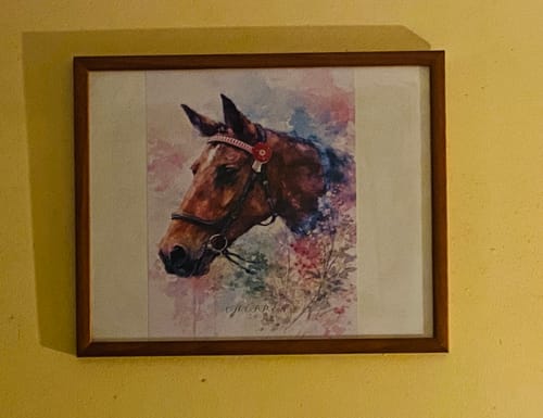 Customer photo review of Personalised Poster With Dog or Cat - Watercolour
