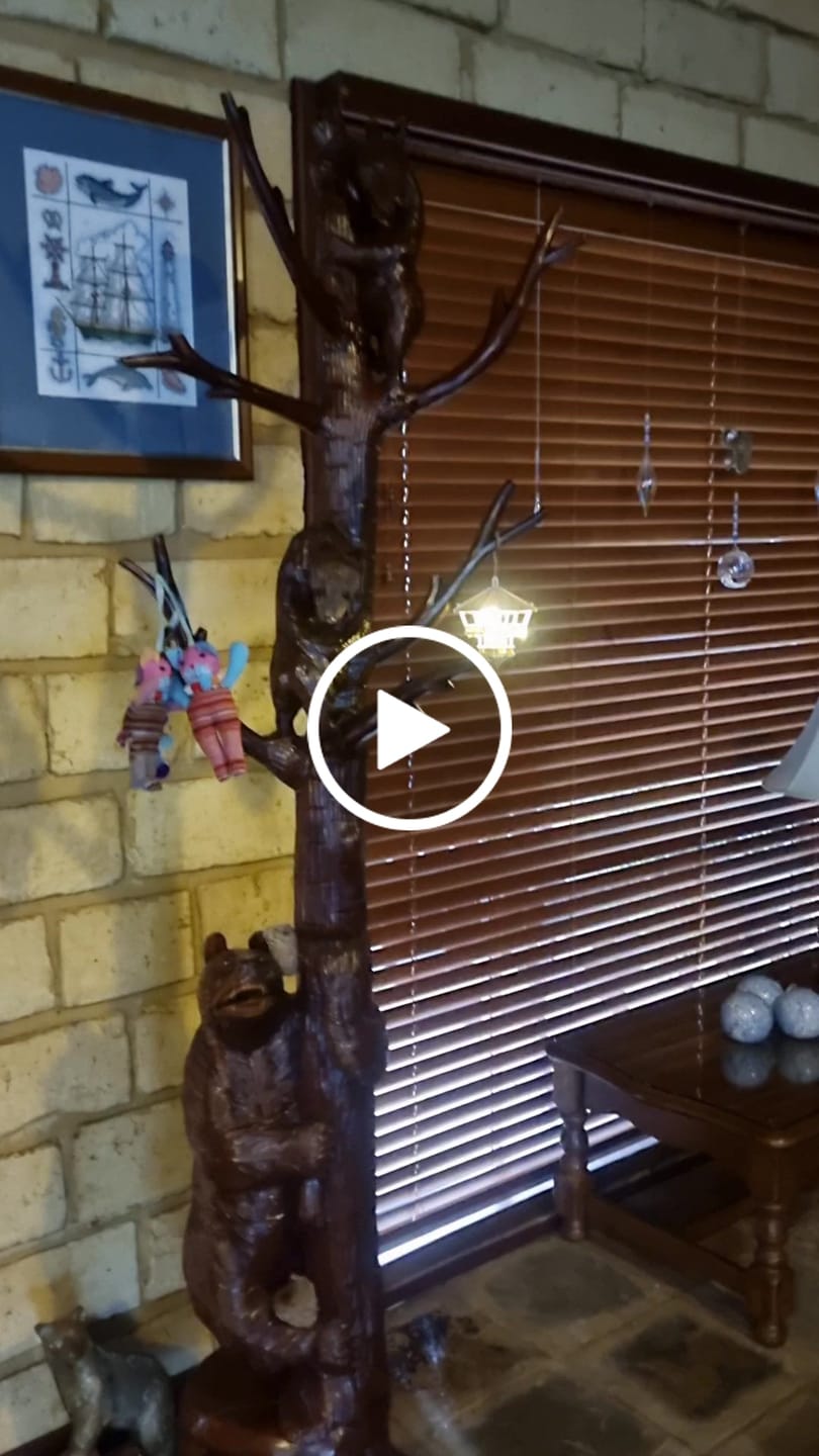 Customer video review of Treetop Hideaway