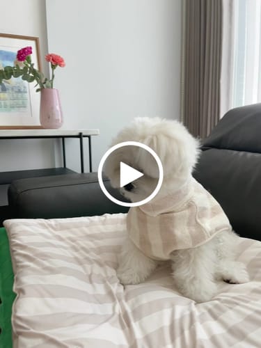 Customer video review of Hazelnut Stripe | The Cosy Cloak Drying Robe