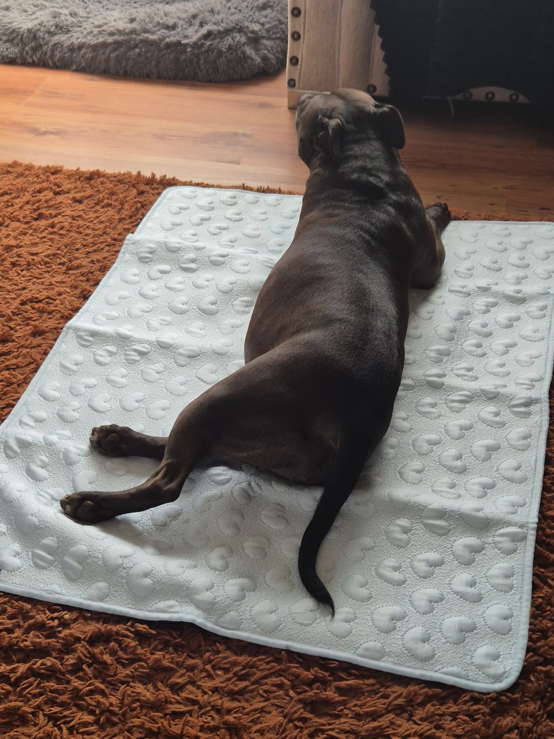 Customer photo review of Frostcore™ Cooling Mat - Hearts Blue