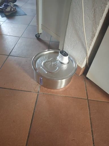 Customer photo review of 8L Wireless Whisker Co Drinking Fountain