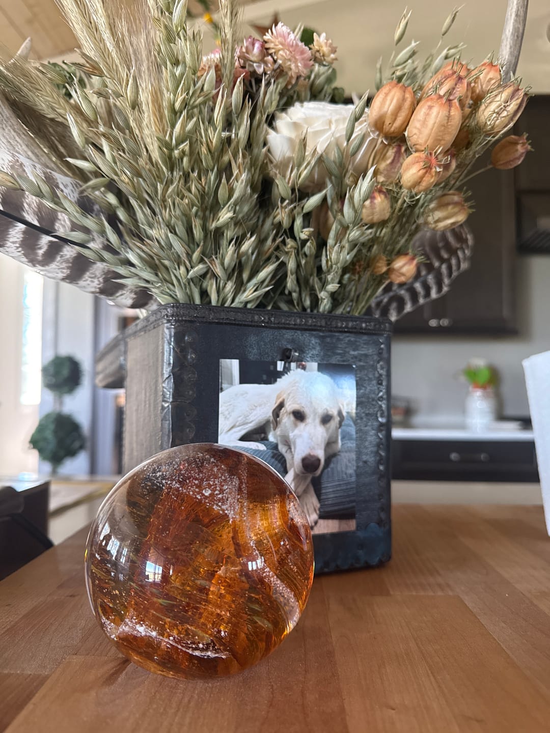 Customer photo review of Serenity Orb with Cremation Ashes